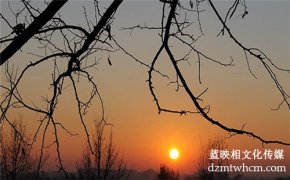 展会产品宣传片脚本的制作要点有哪些？